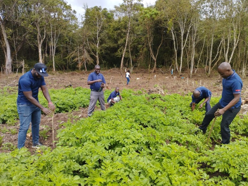 Tree Planting 2023 Kimende